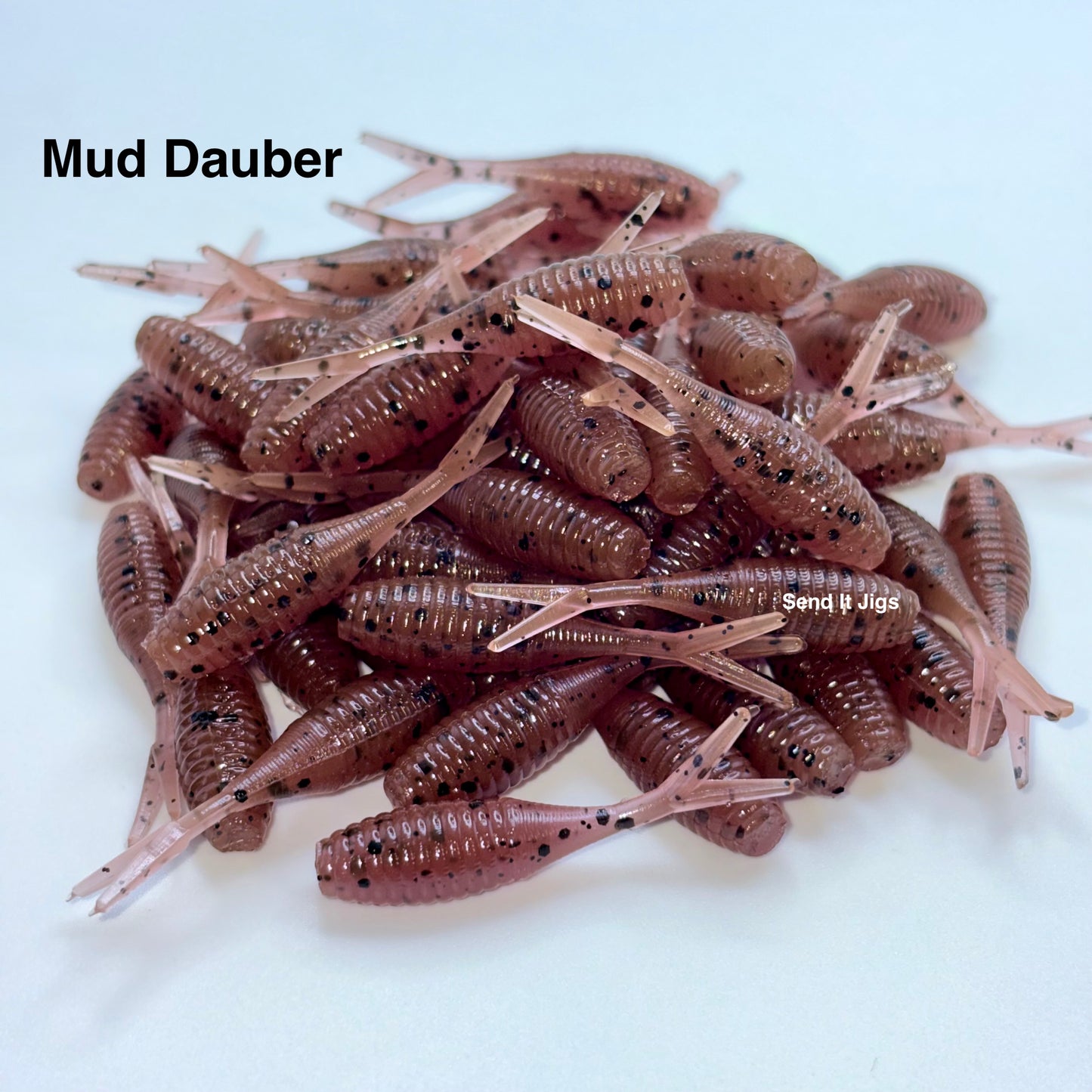 Mud Dauber