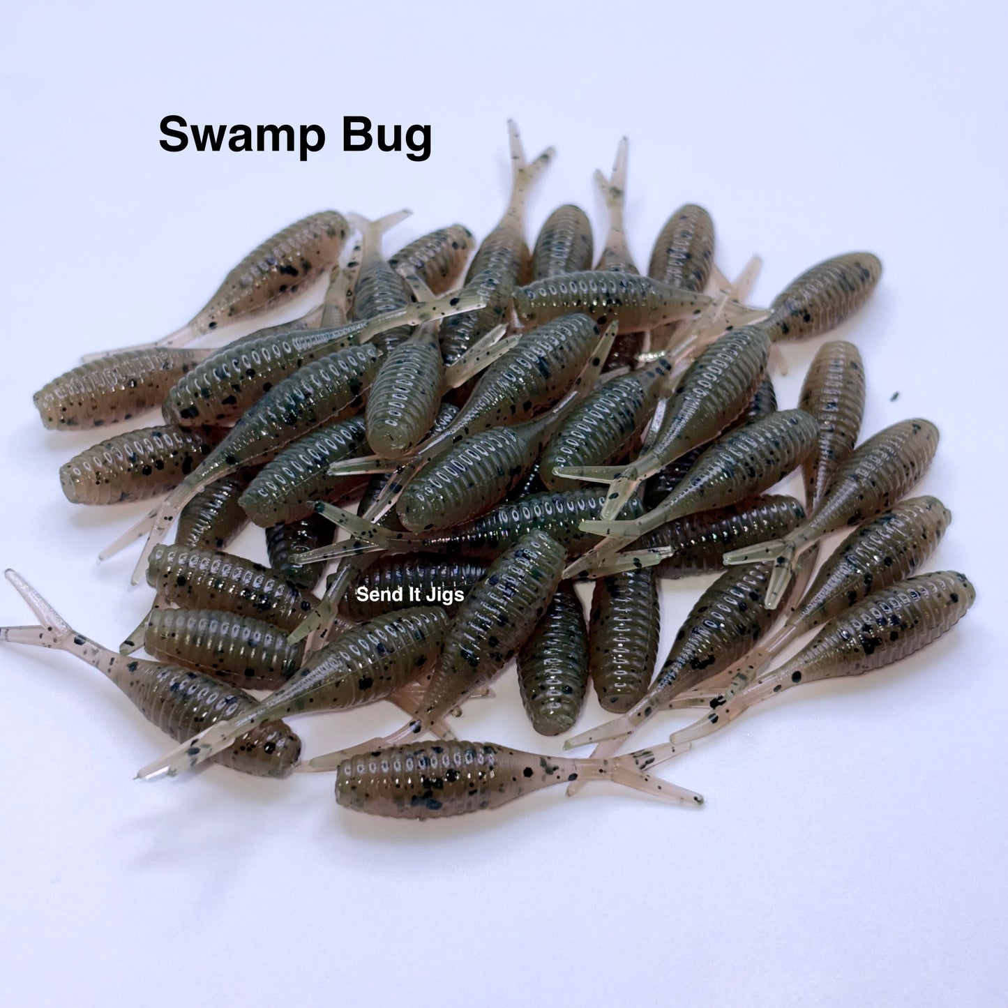 Swamp Bug